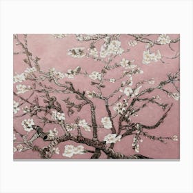 Almond Blossom 1 Canvas Print