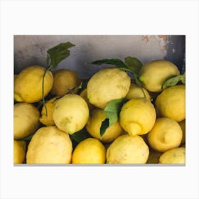 Lemons In Sorrento Canvas Print