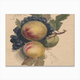 Peaches And Grapes 1 Canvas Print