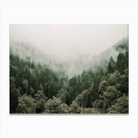 Misty Green Forest Canvas Print