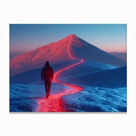 Person Walking On A Snowy Path Canvas Print