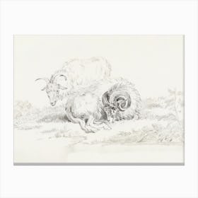 Lying Goat And A Standing Goat, Jean Bernard Canvas Print
