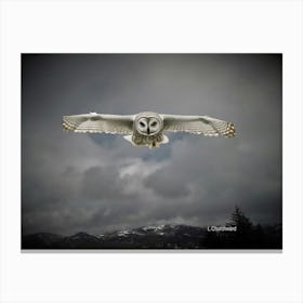 Owl flying Canvas Print