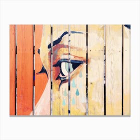 Teardrops On A Fence Canvas Print