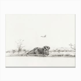 Cow In The Water, Jean Bernard Canvas Print