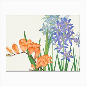 Hyacinths Canvas Print