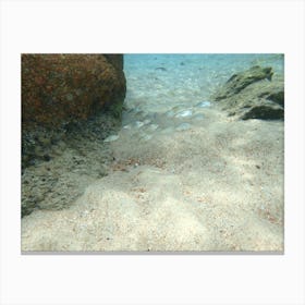 Sand And Rocks Canvas Print