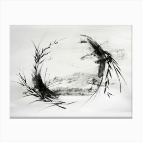 Circle Of Grass Canvas Print