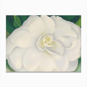 Georgia O'Keeffe - A White Camellia Canvas Print