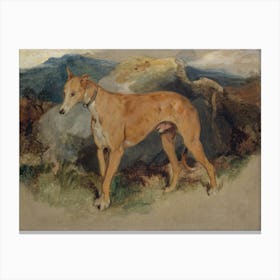 Greyhound Canvas Print