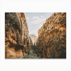 Zion Desert Canyon Canvas Print