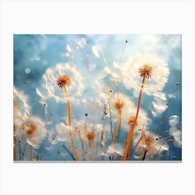 Dandelion 36 Canvas Print