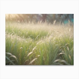 A Field Of Tall, Feathery Grass In The Soft Light Of Sunset Canvas Print