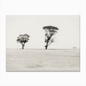 Wheatbelt Landscape Canvas Print