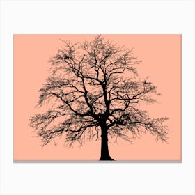 Bare Tree 1 Canvas Print