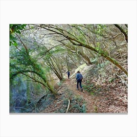 Autumn Walk in the Forest. Walking along a leaf-covered path in a dense forest. The trees are tall and their branches form a canopy overhead, with sunlight filtering through the leaves, creating a serene and picturesque scene. 1 Canvas Print