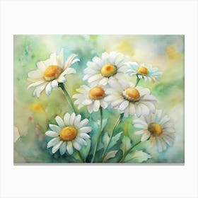 Daisies Canvas Print