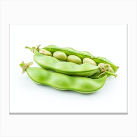 Green Peas 3 Canvas Print