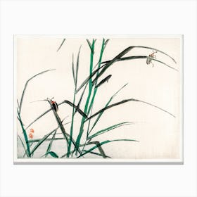 Beetles, Kōno Bairei Canvas Print