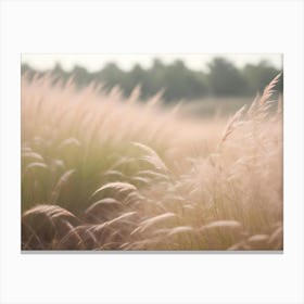 A Gentle And Airy Image Of A Field Of Tall, Feathery Grass With A Soft, Warm Glow Canvas Print