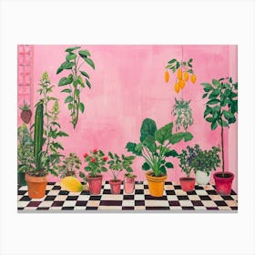 Potted Plants & Fruit Growing In A Greenhouse Pink Checkerboard Canvas Print