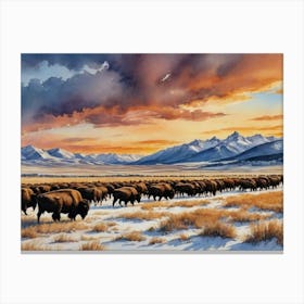 Bison Herd Grasslands Canvas Print