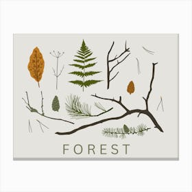 Forest Canvas Print