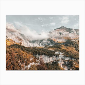 Colorado Autumn Forest Canvas Print