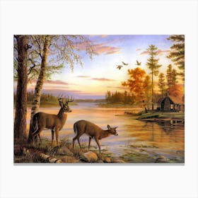 Deer In The Woods Canvas Print