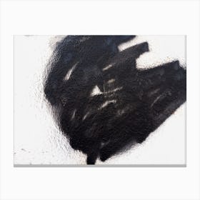 Black Paint On A Wall 3 Canvas Print