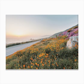 Wildflowers On Highway Canvas Print