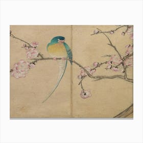 Bird Perched On A Cherry Blossom 1 Canvas Print