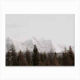 Forest Mountain View Canvas Print
