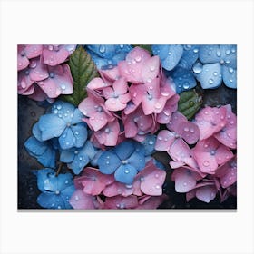 Hydrangeas 32 Canvas Print