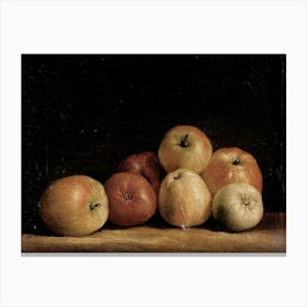 Vintage Still Life Apples Canvas Print