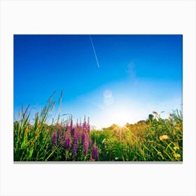 A Bright Sunrise Casting A Luminescent Glow On A Lush Countryside Garden During Summer Awash With P Canvas Print