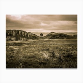 Sycamore Gap Hadrians Wall Landscape Canvas Print