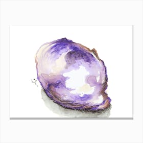 Oyster Shell in violet Canvas Print