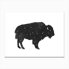 Mystic Buffalo Canvas Print
