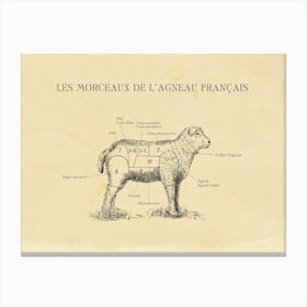 French Lamb Butcher Cuts Chart Canvas Print