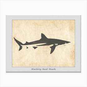 Blacktip Reef Shark Silhouette 1 Poster Canvas Print
