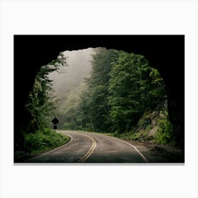 Through The Tunnel Canvas Print