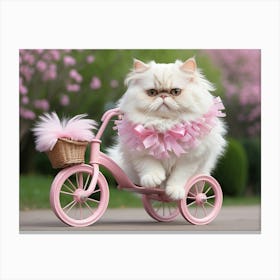 Persian Cat On A Pink Bicycle Canvas Print