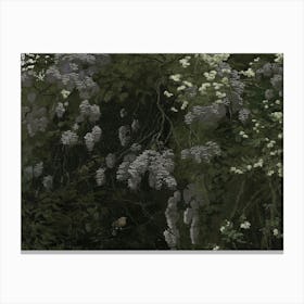 Wisteria 2 Canvas Print