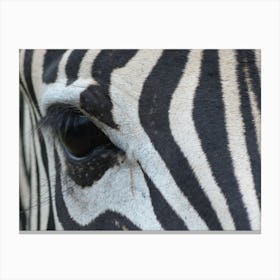 Zebra Eye 1 Canvas Print