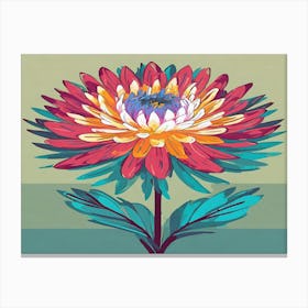 Chrysanthemum 10 Canvas Print