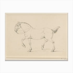 Stappend Paard, Naar Links, Jean Bernard Canvas Print