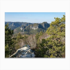 Rocks and trees in Saxon Switzerland National Park Canvas Print