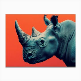 Rhino on Orange Canvas Print