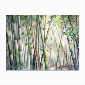 Bamboo Forest 1 Canvas Print